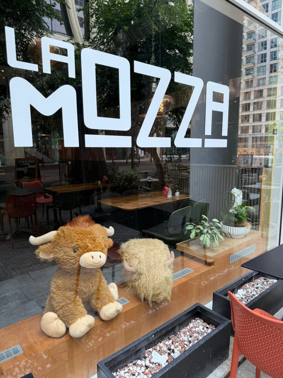La Mozza Den Haag