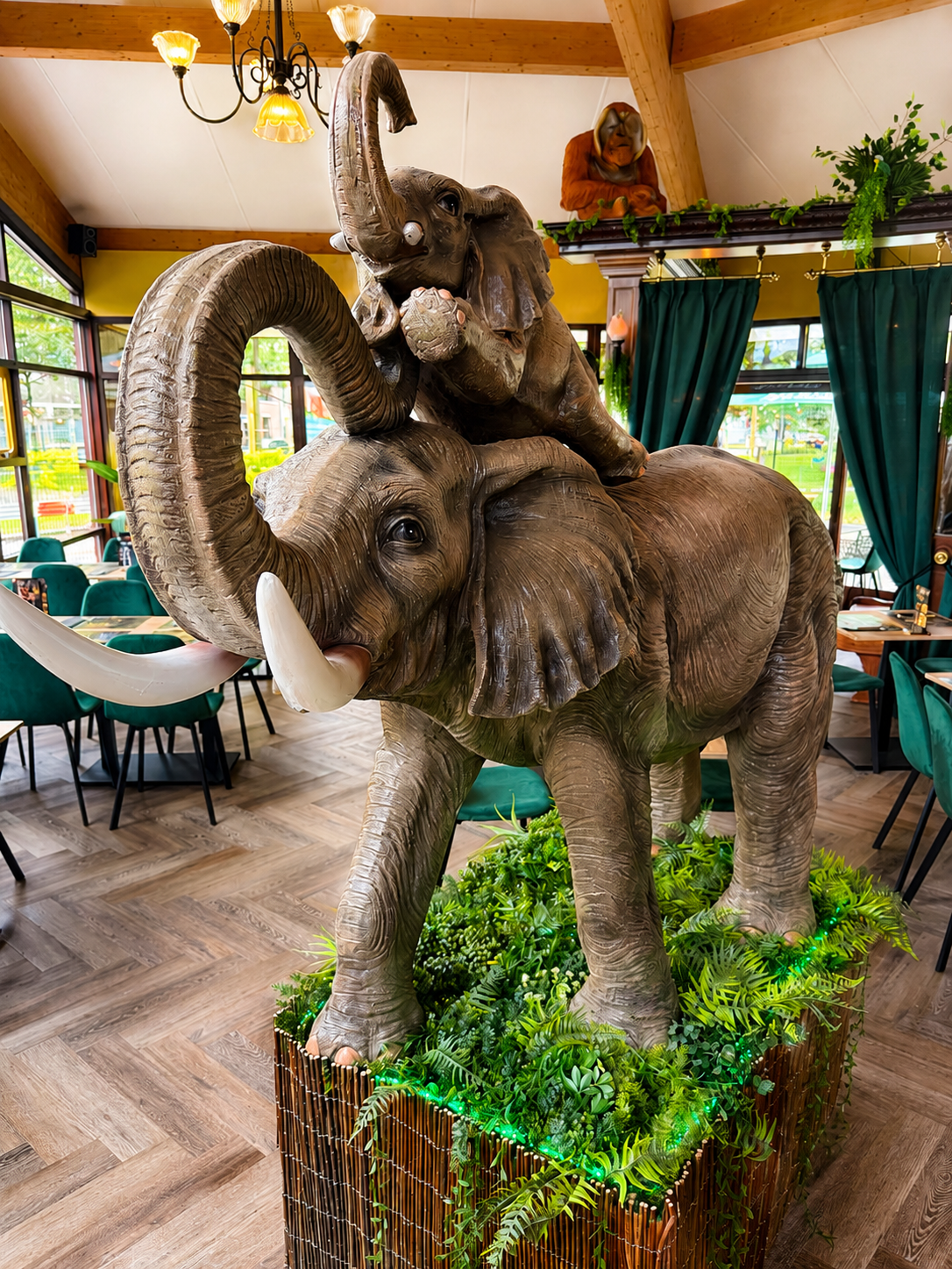 De Pannenkoeken Jungle