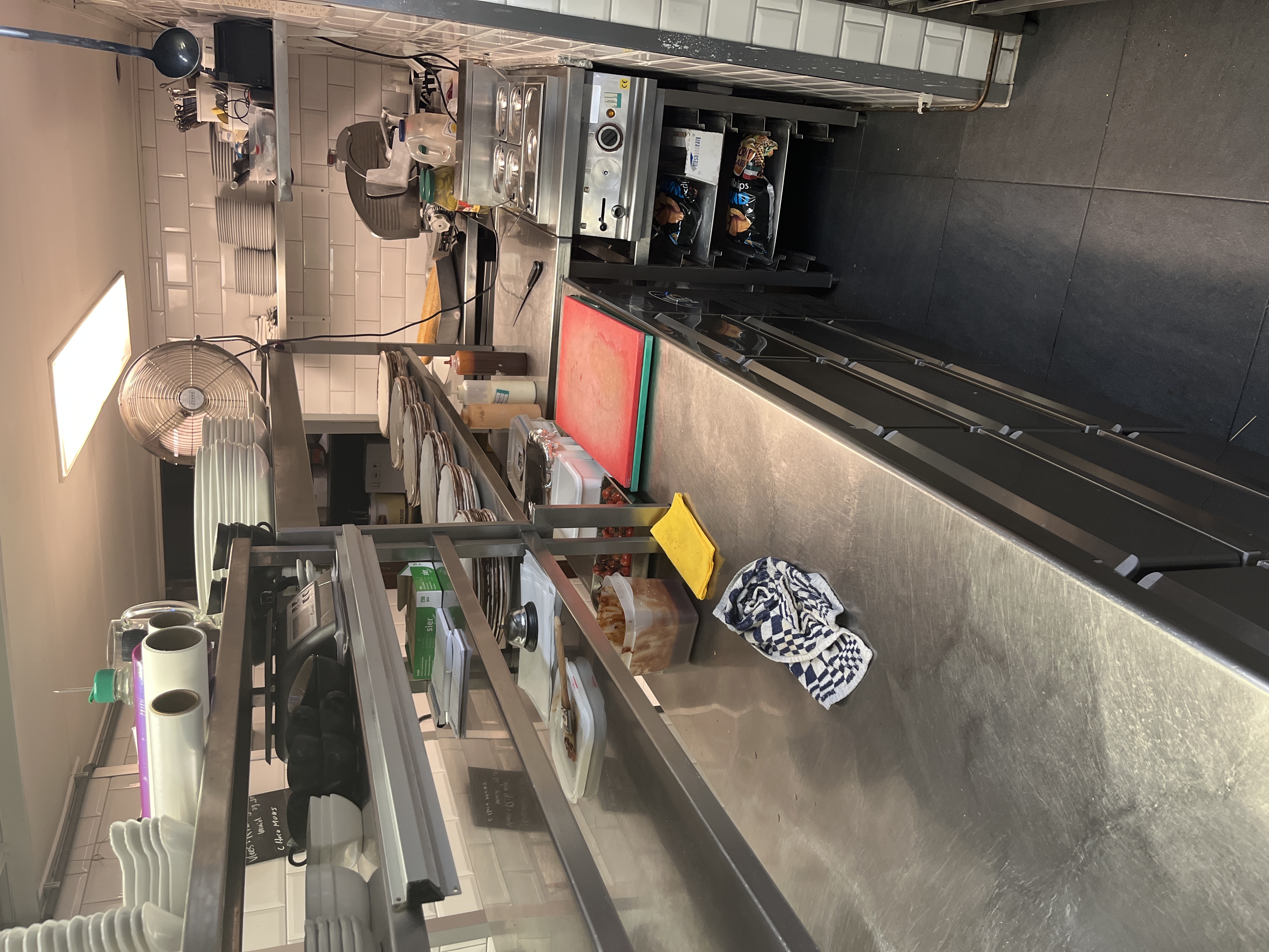 The fox