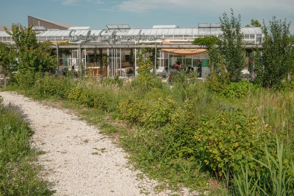 Café Clementine